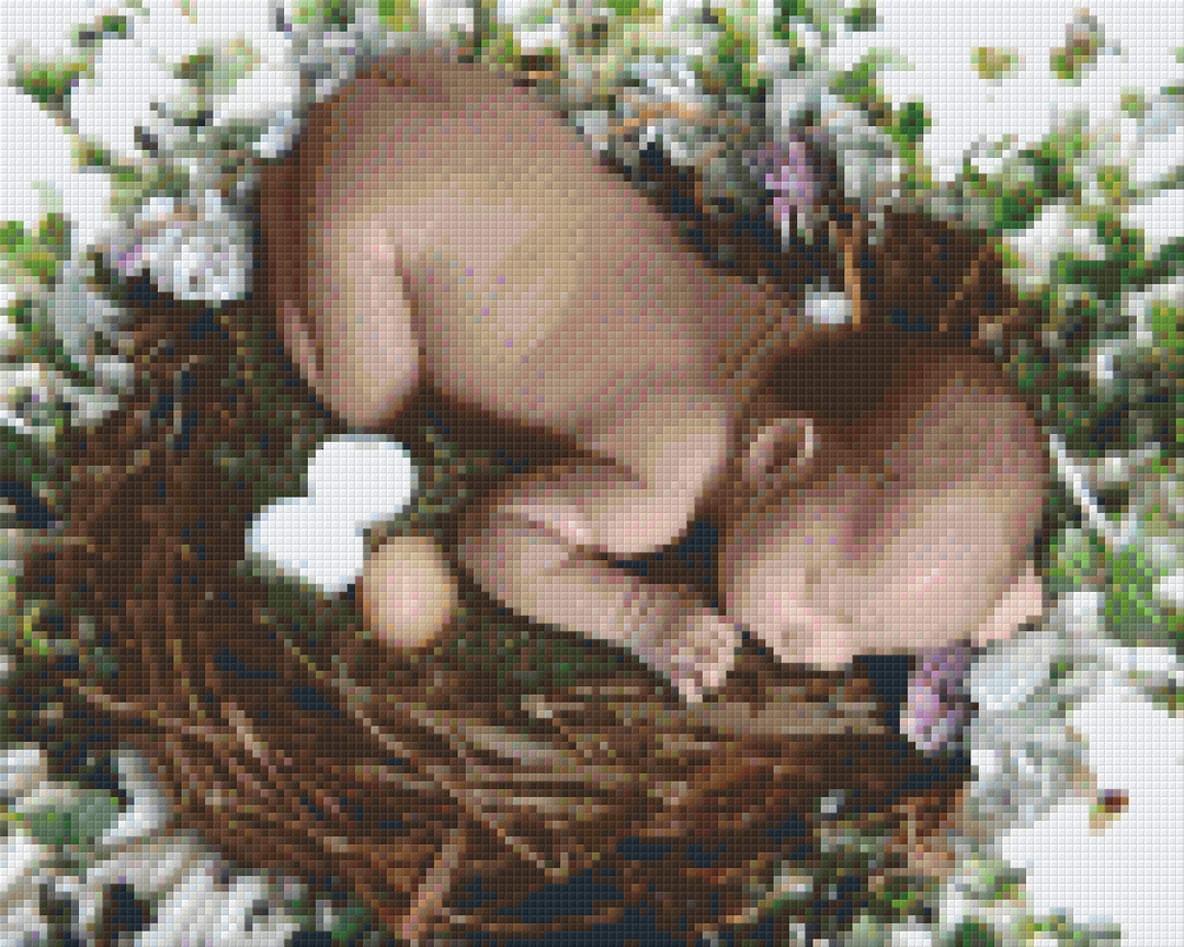 Baby In Bird's Nest Nine [9] Baseplate PixelHobby Mini-mosaic Art Kit image 0